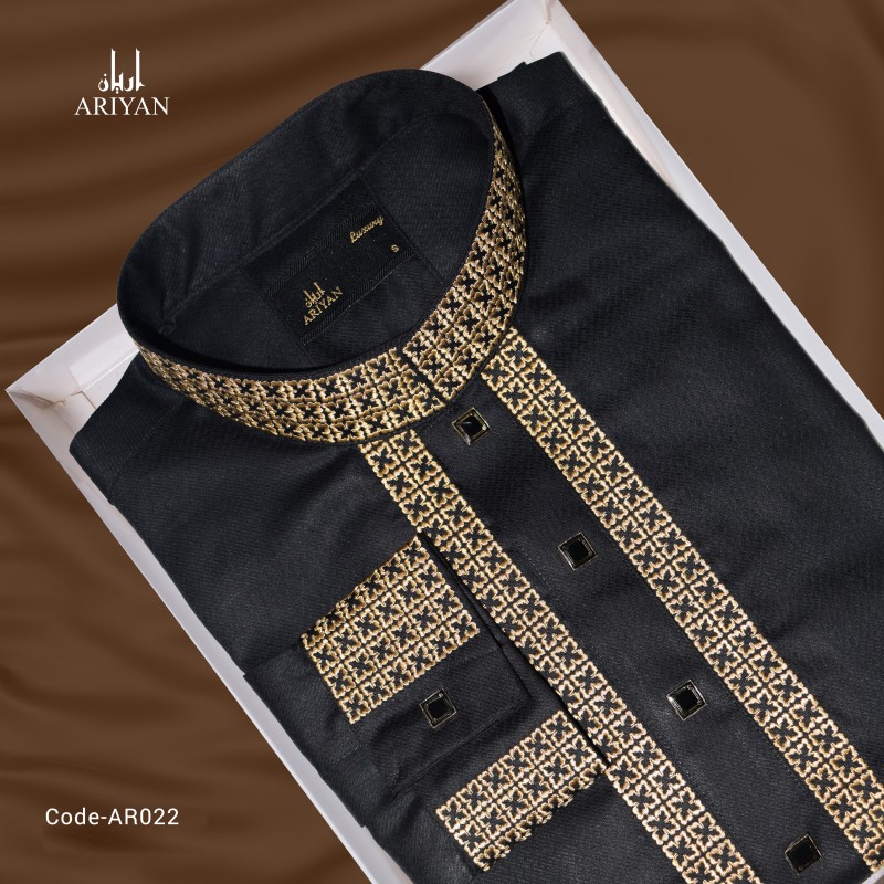 Panjabi Luxury- AR022